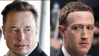 Photo of Mark Zuckerberg vs. Elon Musk: Who would win the fight that will never happen?